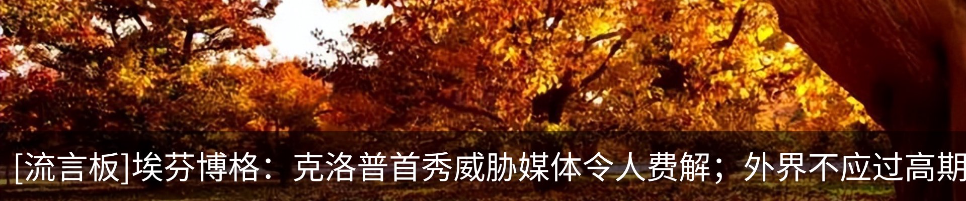 内页banner